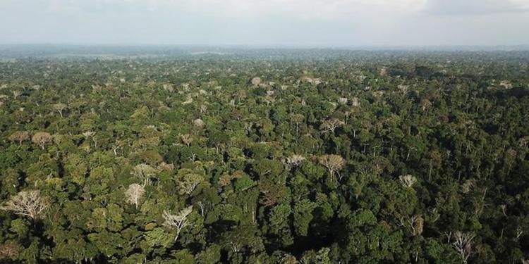 Mapa e Incra lançam cartilha sobre regularização fundiária na Amazônia