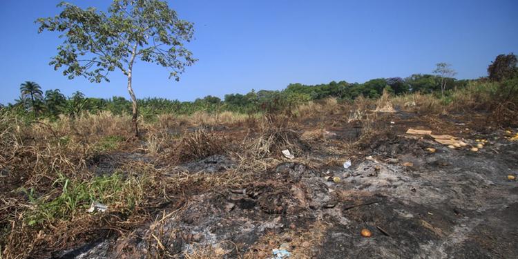 Incêndio na Mata da Ceasa é mais um caso que demonstra aumento das queimadas na Grande Belém