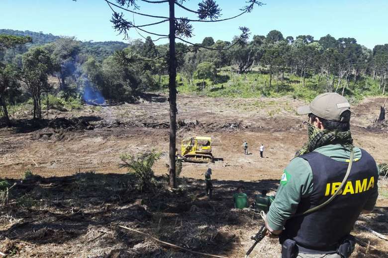 Pará ocupa topo do ranking do desmatamento nos últimos 12 meses, aponta Imazon