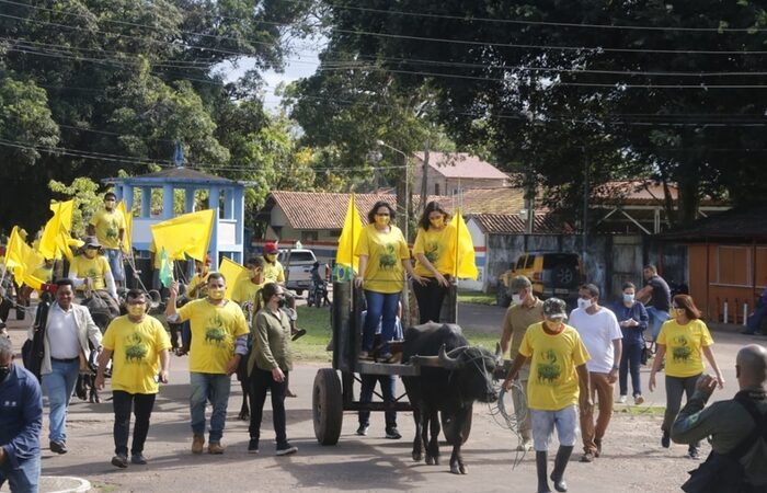 Ministra Damares circula por Soure em carroça puxada por búfalos