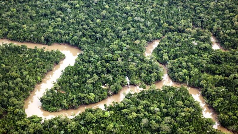 UCs  Pará- Aponta novas áreas de preservação ambiental e promove o desenvolvimento sustentável.