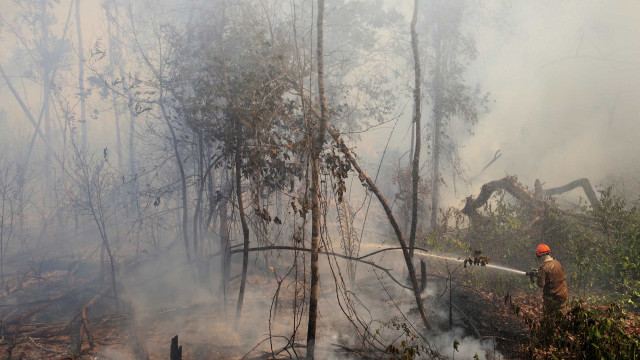 Em Mato Grosso, Corpo de Bombeiros está combatendo 50 incêndios florestais