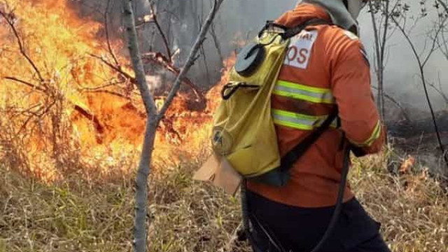 Dois brigadistas morrem durante combate a incêndio no Piauí